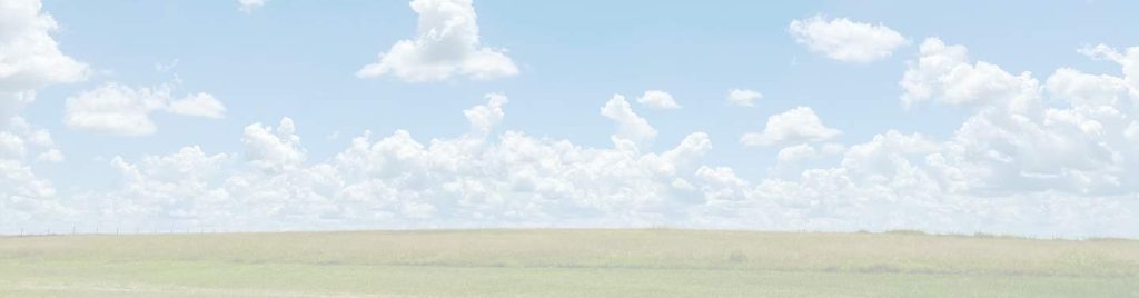 Grand View Village Resort landscape