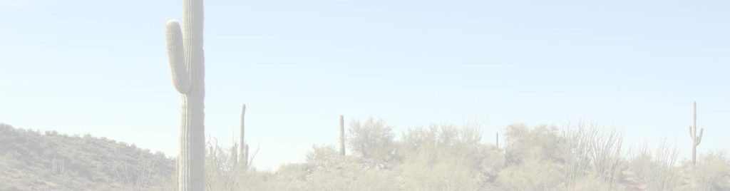 Aztec Village landscape